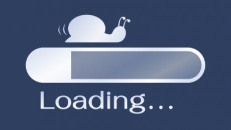 A snail's pace
