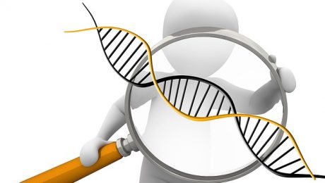 deoxyribonucleic-acid-1500068_640