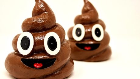 feces-3101851_640 two ceramic smiling poop emojis on a white background